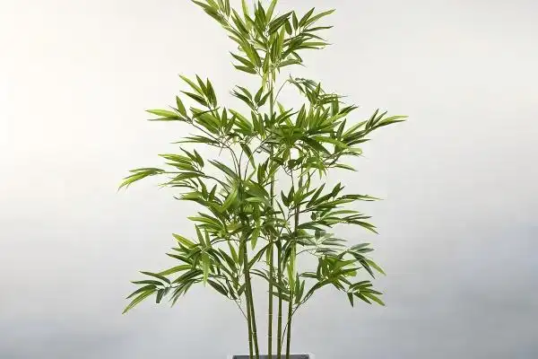 Small Artificial Bamboo Plant: The Rising Trend in Home Decor